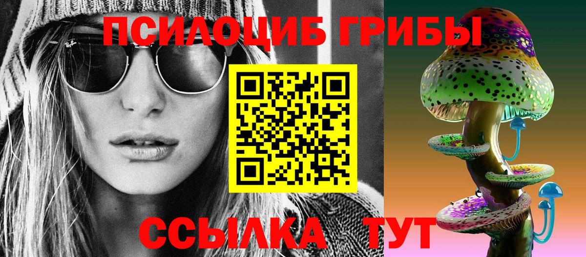 Псилоцибиновые грибы Psilocybine cubensis Балтийск