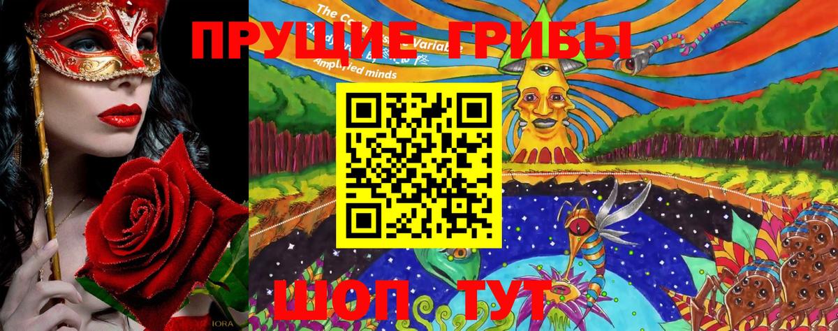 Псилоцибиновые грибы MAGIC MUSHROOMS  Вход с VPN  где найти   Балтийск  Галлюциногенные грибы мицелий 